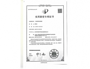 實(shí)用新型專利證書02